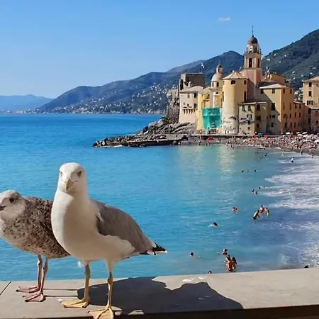 Apartment La Casa Di Malu -5min Centro-spiagge-acquario Free Wifi Genoa